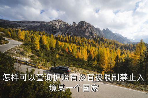如何查有沒有被限制出境，怎樣可以查詢護照有沒有被限制禁止入境某一個國家