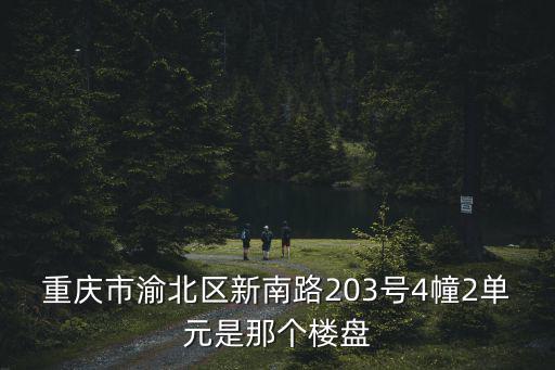 重慶市渝北區(qū)新南路203號4幢2單元是那個樓盤