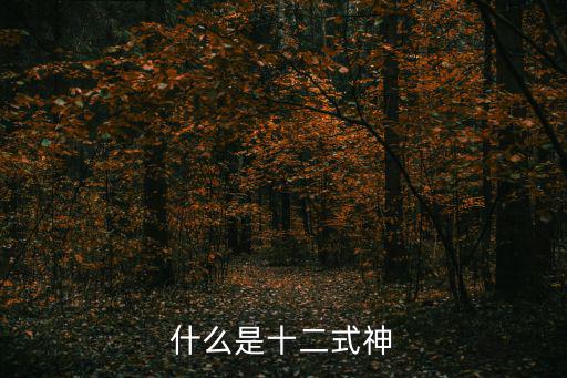什么是十二式神