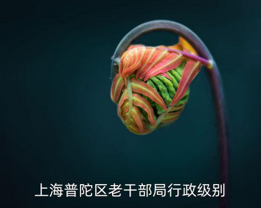 上海普陀區老干部局行政級別