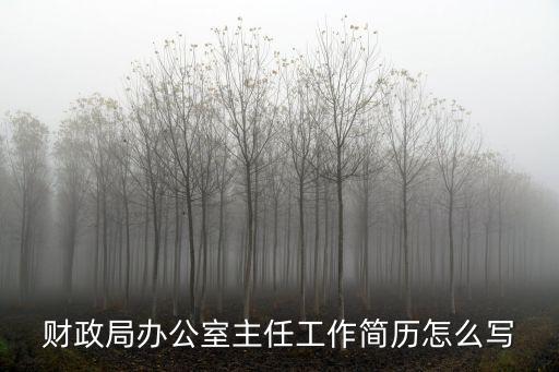 財政局辦公室主任工作簡歷怎么寫