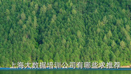 上海大數據20強公司，上海大數據培訓公司有哪些求推薦