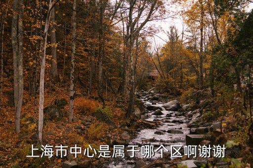 上海市中心是屬于哪個區(qū)啊謝謝