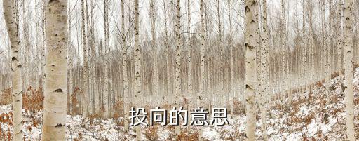 投向的意思