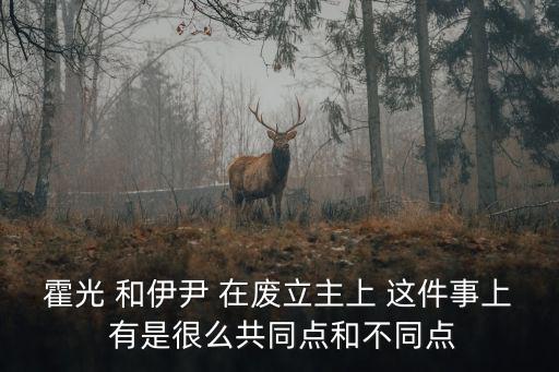 霍光 和伊尹 在廢立主上 這件事上 有是很么共同點(diǎn)和不同點(diǎn)