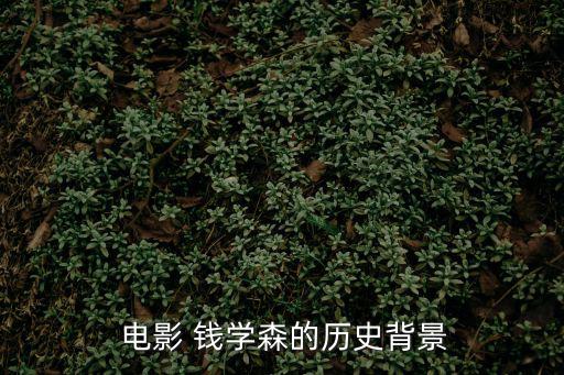 電影錢學森,少年錢學森請求祖國政府幫助回國原為尋求美國助力