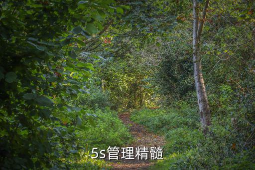 5s管理培訓(xùn)，車間5S管理