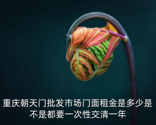 重慶朝天門(mén)批發(fā)市場(chǎng)門(mén)面租金是多少是不是都要一次性交清一年