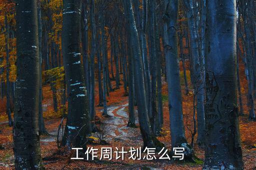 周工作計劃，一周工作計劃怎么寫