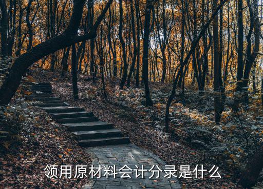  領(lǐng)用原材料會(huì)計(jì)分錄是什么
