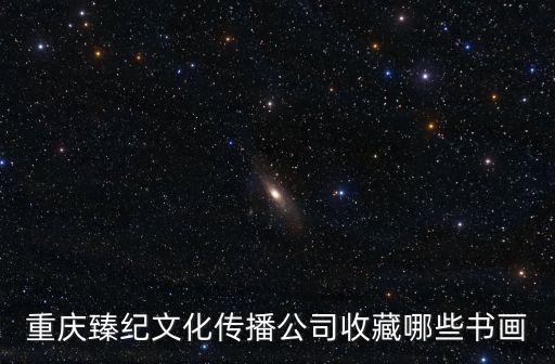重慶臻紀文化傳播公司收藏哪些書畫