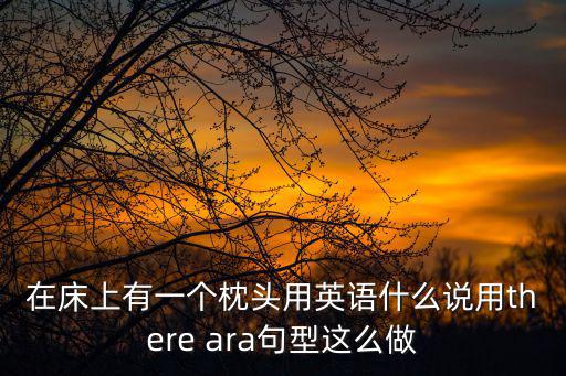 在床上有一個枕頭用英語什么說用there ara句型這么做