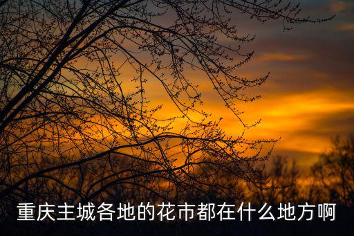重慶主城各地的花市都在什么地方啊
