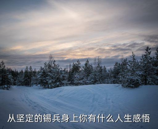 從堅定的錫兵身上你有什么人生感悟