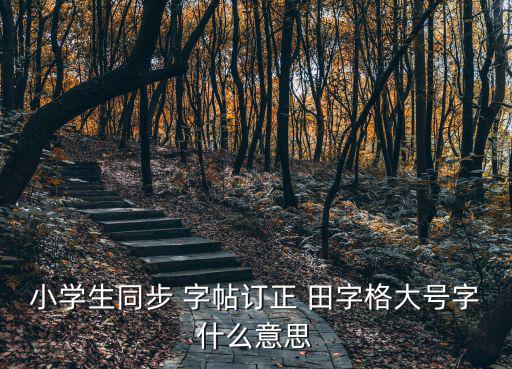 小學生同步 字帖訂正 田字格大號字什么意思