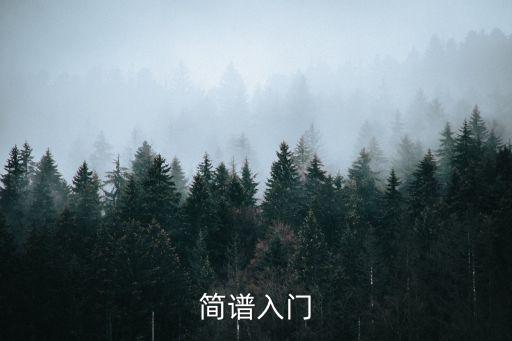 簡譜入門