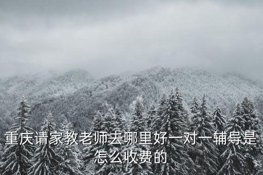 重慶請家教老師去哪里好一對一輔導(dǎo)是怎么收費(fèi)的