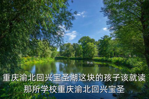 重慶渝北回興寶圣湖這塊的孩子該就讀那所學(xué)校重慶渝北回興寶圣
