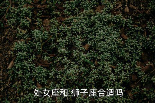 處女座獅子座,星座配對:獅子座和處女座相處沒問題