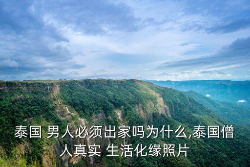 男人生活照片,泰國男人一生出家一次發照片感動網民