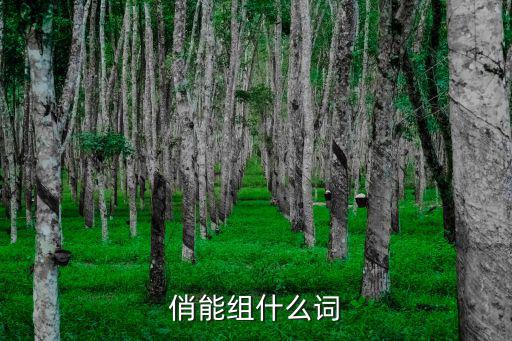 俏能組什么詞