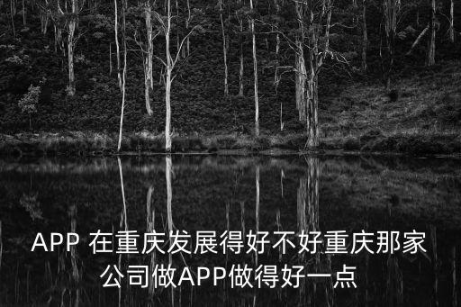 APP 在重慶發展得好不好重慶那家公司做APP做得好一點
