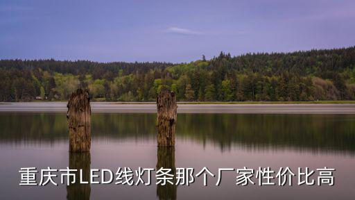 重慶市LED線燈條那個廠家性價比高