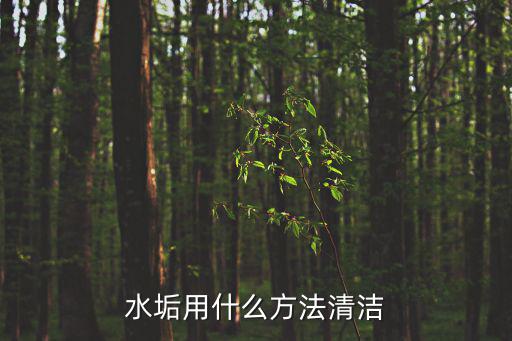 水垢用什么方法清潔