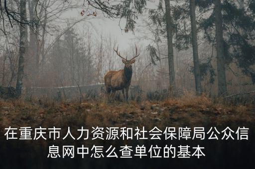 重慶市城鎮職工社保繳費查詢，在重慶市人力資源和社會保障局公眾信息網中怎么查單位的基本