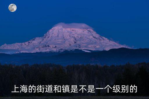 上海街道領導是什么級別，上海浦東新區各街道辦主任是什么級別