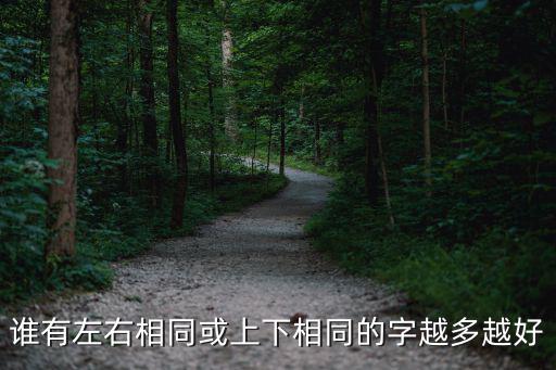 誰有左右相同或上下相同的字越多越好