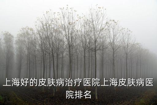上海好的皮膚病治療醫(yī)院上海皮膚病醫(yī)院排名