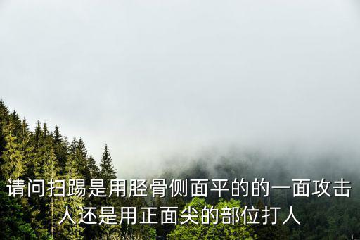 請問掃踢是用脛骨側面平的的一面攻擊人還是用正面尖的部位打人