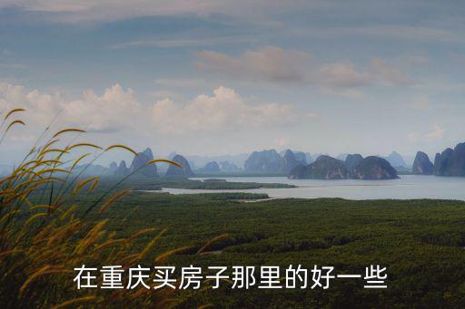 在重慶買房子那里的好一些