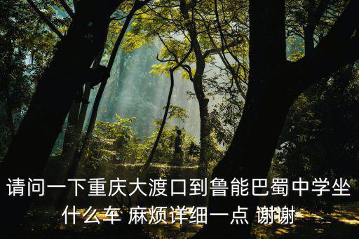 請問一下重慶大渡口到魯能巴蜀中學坐什么車 麻煩詳細一點 謝謝