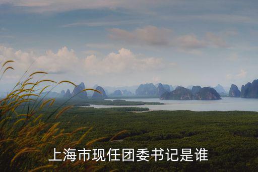 上海市現任團委書記是誰