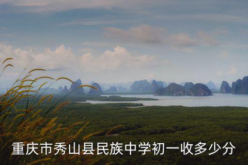 重慶市秀山縣第一民族小學(xué)簡(jiǎn)介，重慶秀山有哪些小學(xué)