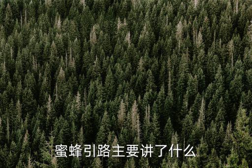 蜜蜂引路主要講了什么