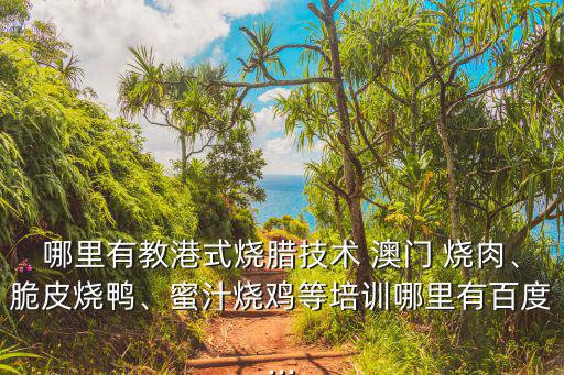 哪里有教港式燒臘技術(shù) 澳門 燒肉、脆皮燒鴨、蜜汁燒雞等培訓(xùn)哪里有百度...
