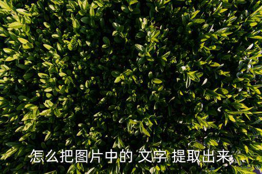 怎么把圖片中的 文字 提取出來