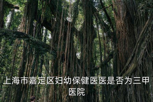 上海市嘉定區婦幼保健醫醫是否為三甲醫院