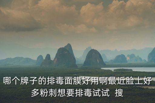 哪個牌子的排毒面膜好用啊最近臉上好多粉刺想要排毒試試  搜