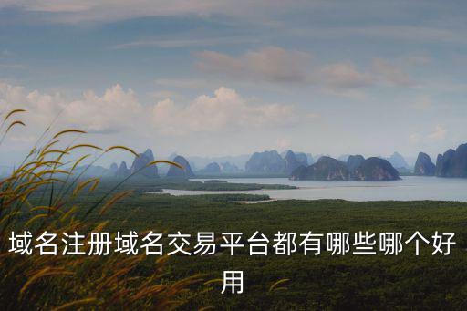 域名注冊域名交易平臺都有哪些哪個好用