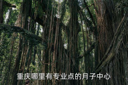 重慶哪里有專業點的月子中心