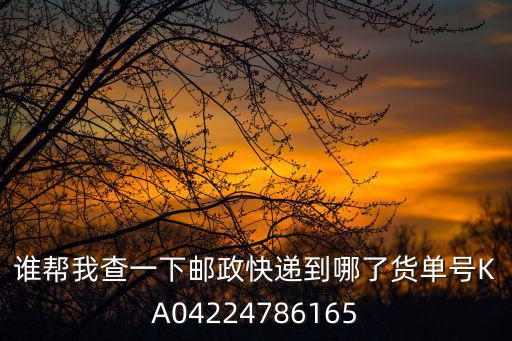 誰幫我查一下郵政快遞到哪了貨單號(hào)KA04224786165