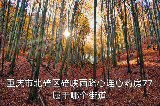 重慶市北碚區碚峽西路心連心藥房77屬于哪個街道