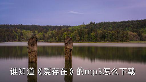 愛存在歌詞,公益歌曲愛存在》原創