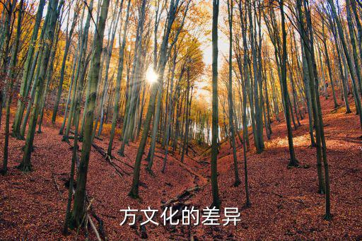 中西方文化的差異