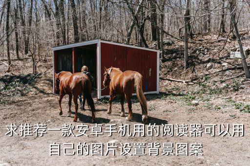 求推薦一款安卓手機用的閱讀器可以用自己的圖片設置背景圖案