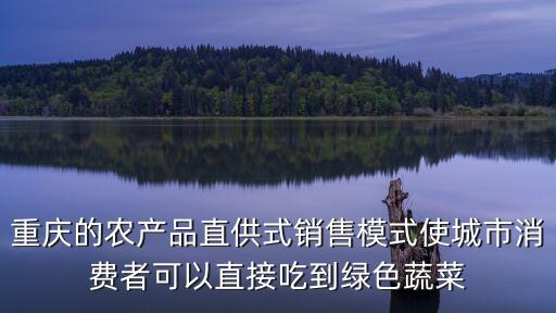 重慶的農(nóng)產(chǎn)品直供式銷售模式使城市消費(fèi)者可以直接吃到綠色蔬菜